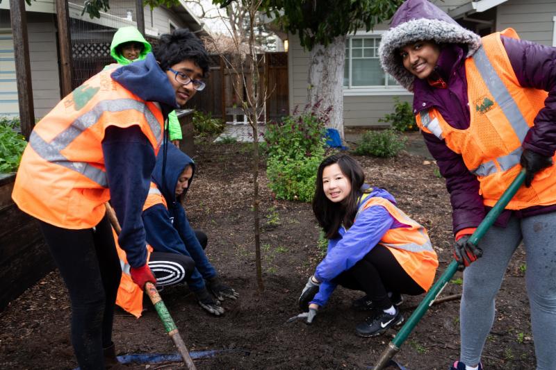 Midtown tree planting