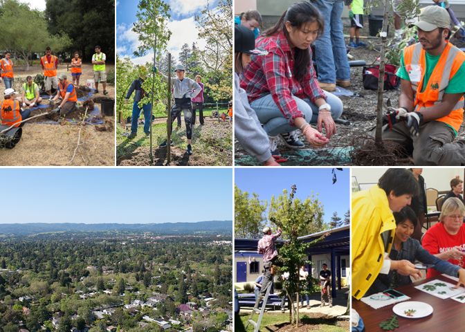 Community Forestry School