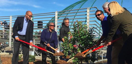 East Palo Alto ceremonial planting