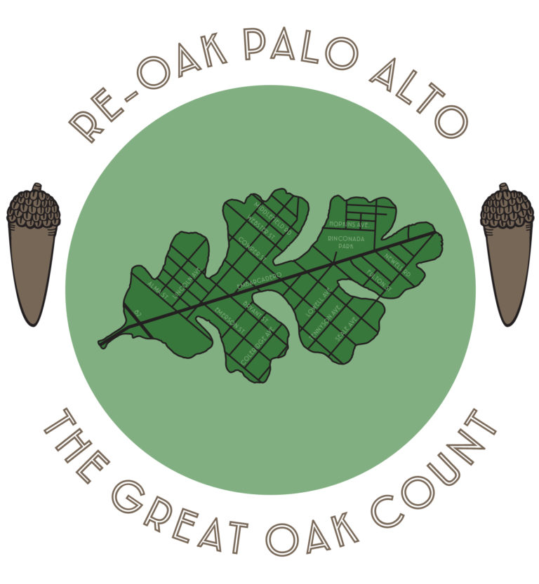 The Great Oak Count