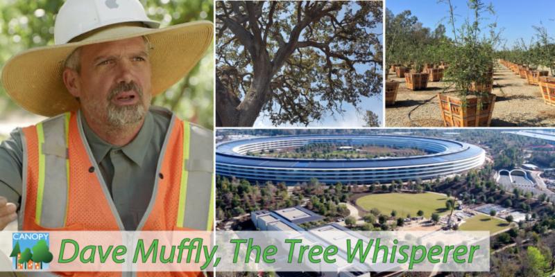 Meet the Tree Whisperer