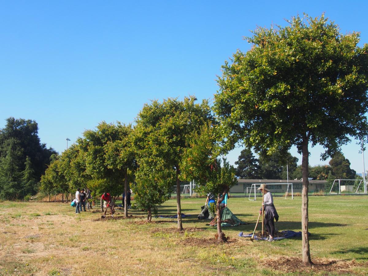 Cesar Chavez school campus