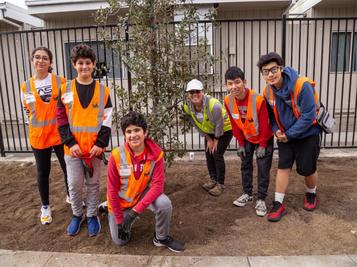 Chilco Street tree planting