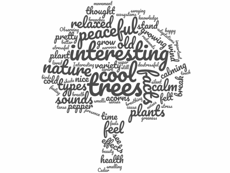 Wellness Tree Walk word cloud