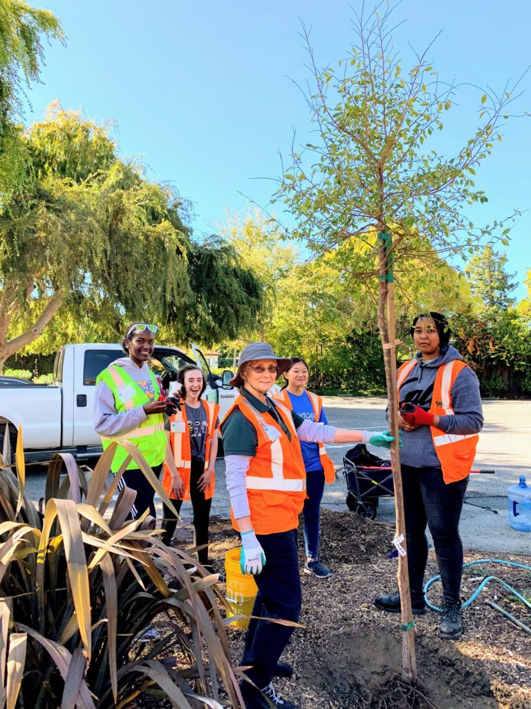 Midtown tree planting