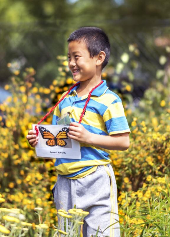 Vote for Eco-Schoolyards