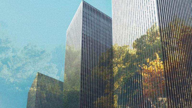 City skyscraper with motif of urban forest overlaid.
