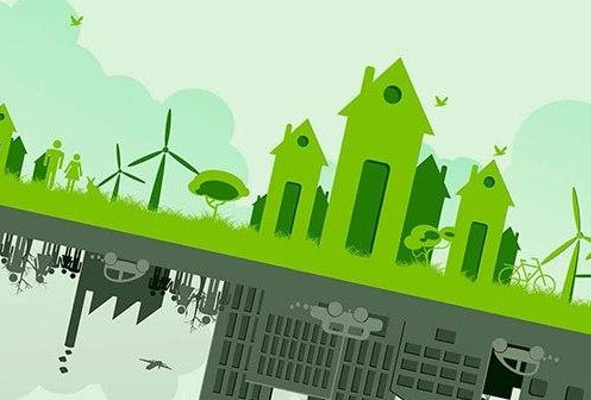 Go green with the sustainability academy