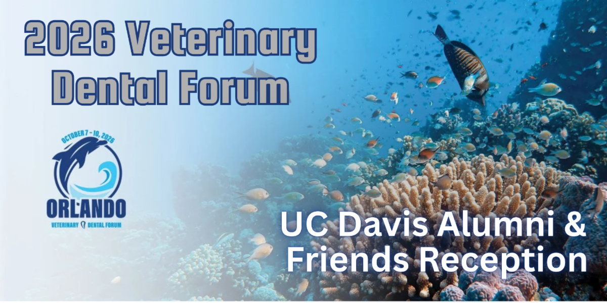 event banner