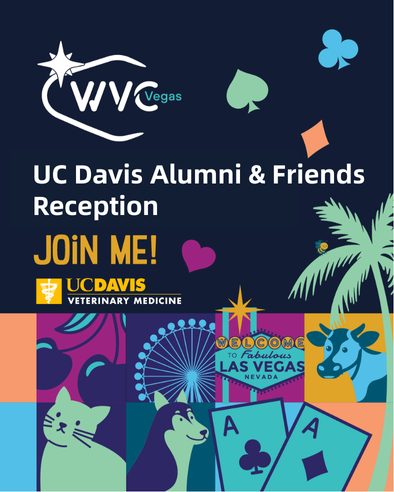 event banner