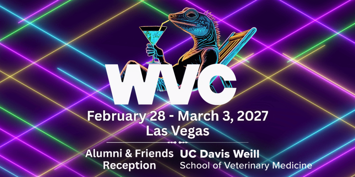 event banner