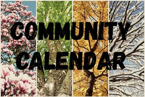 Four seasons as a collage