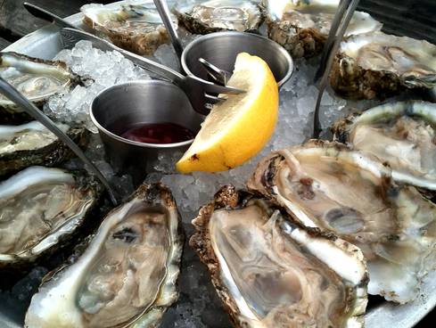 Rappahannock River Oysters