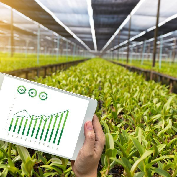 tablet in greenhouse