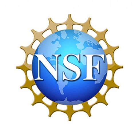 The NSF logo