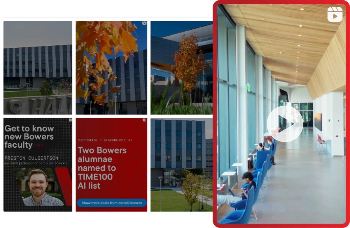 A photo grid showing various Instagram posts.