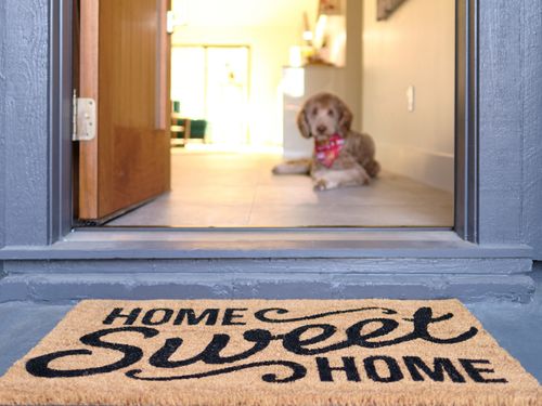 Welcome Door Mat with Pet Dog