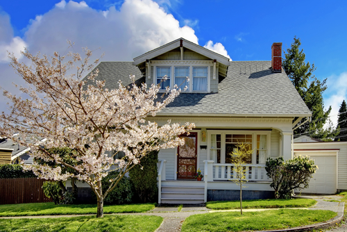 Small old white house with a blooming cherry tree and green grass.