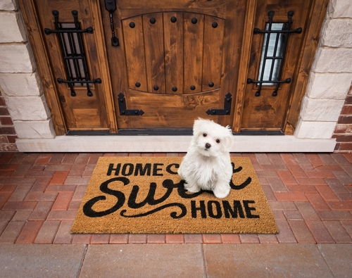 Maltese Puppy Sitting Home Sweet Home Welcome Mat At Front Door Of House.