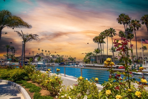 a gorgeous summer landscape at Naples Canals with boats and yachts docked_ luxury homes_ blue ocean water_ lush green palm trees and powerful clouds at sunset in Long Beach California USA