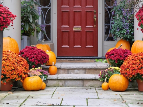 Front steps of house with fall decorations_ flowers and pumpkins