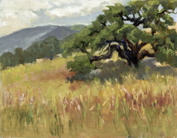 Meadow in Summer 11x14