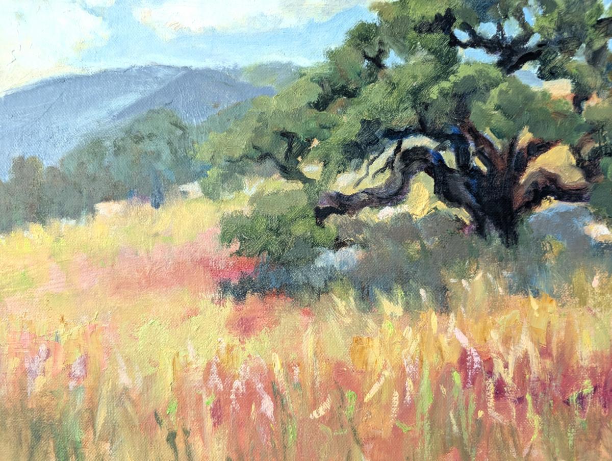 Meadow in Summer oil 11x14