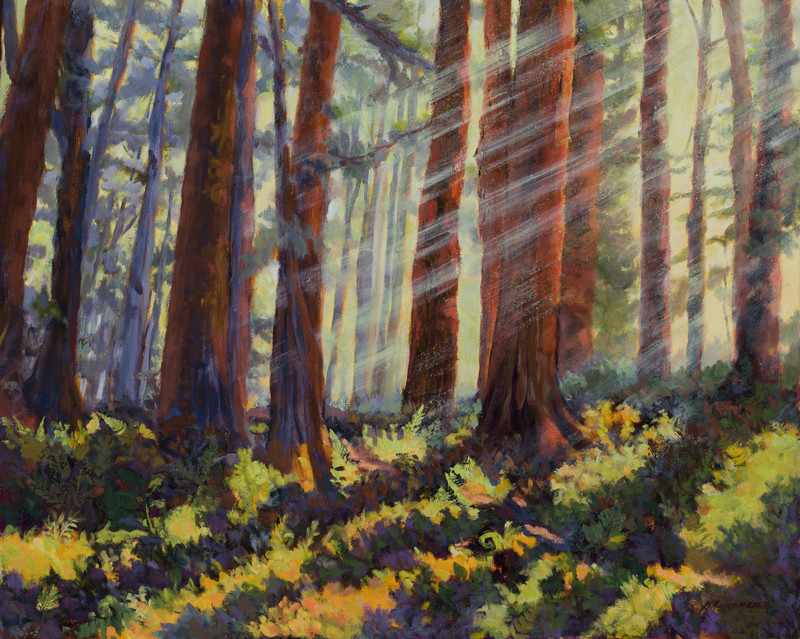 Redwood Mist 24x30