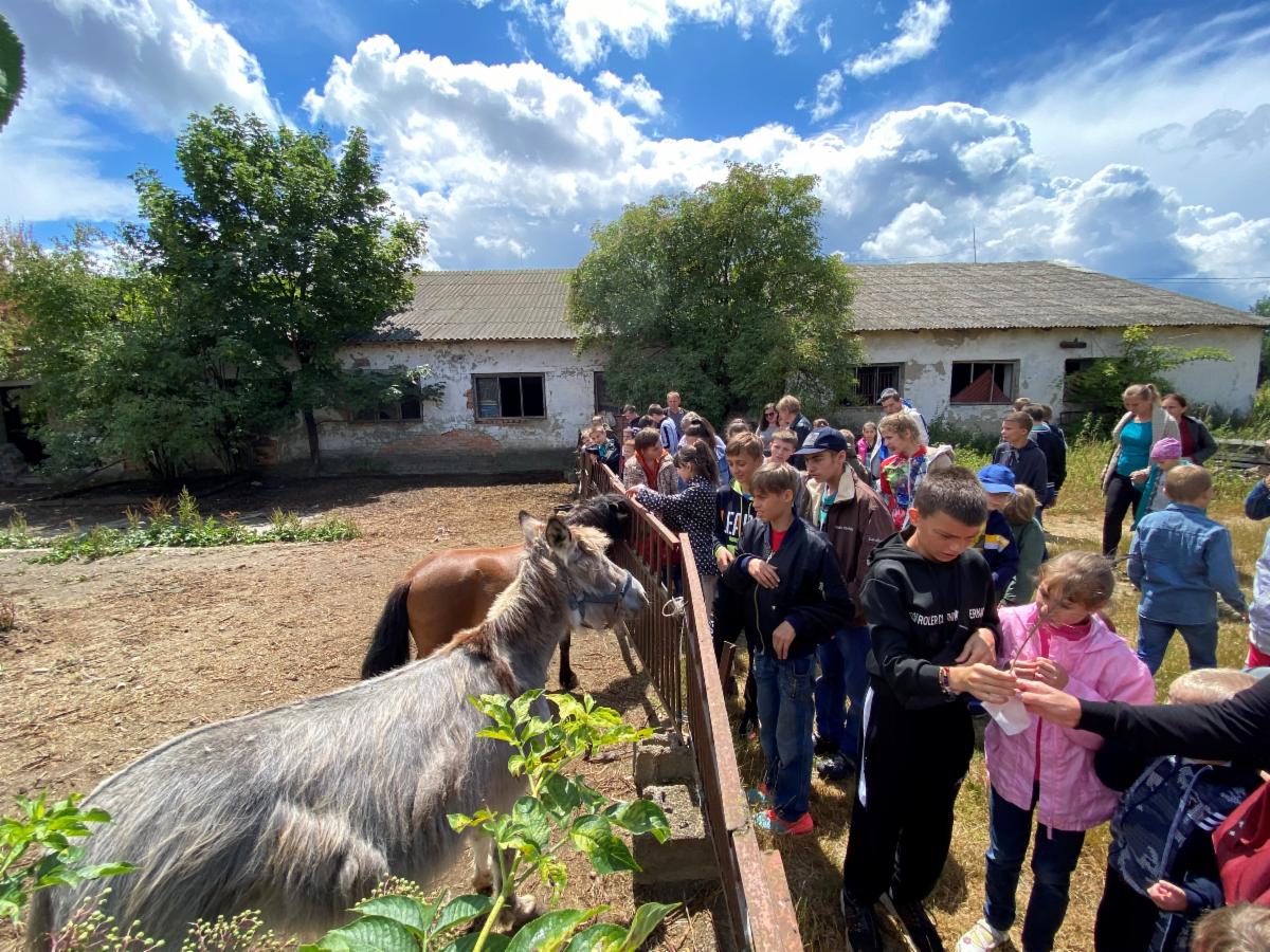 Visit by Chernihiv kids to farm