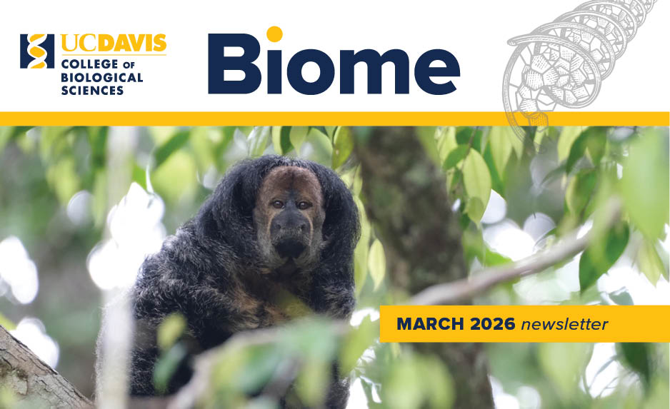 Email header for UC Davis College of Biological Sciences Biome newsletter showing a small monkey in a leafy tree branch.