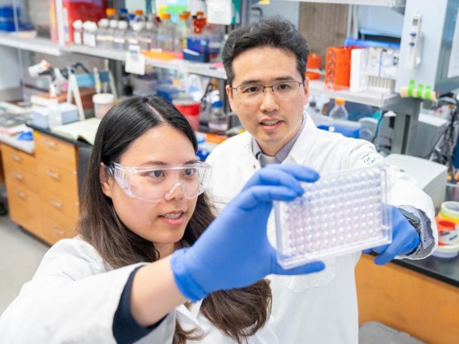 Male and female researcher in laboratory setting