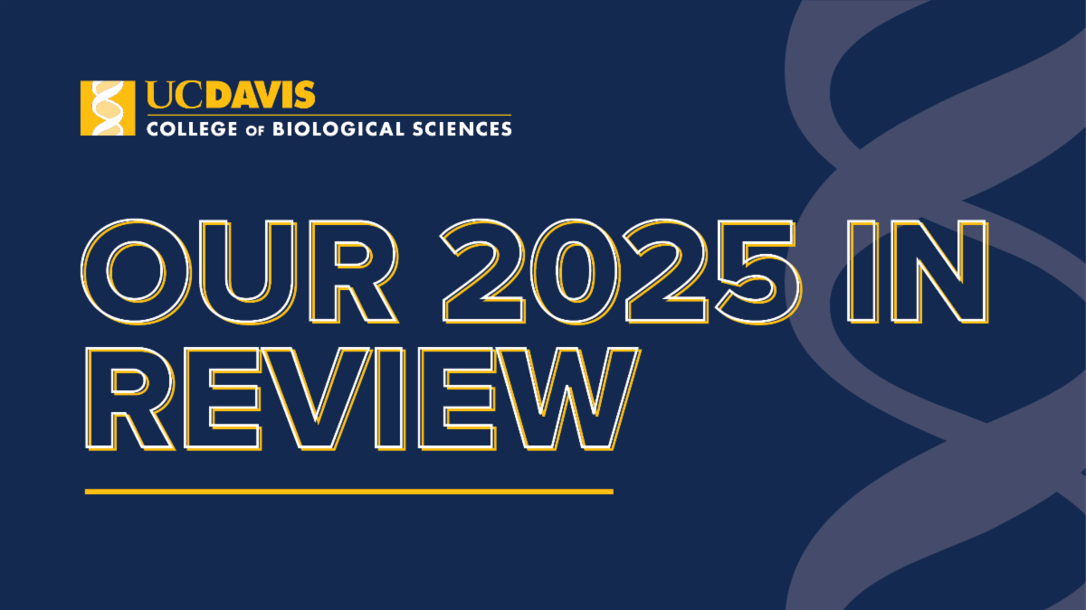 "Our 2025 in Review" text over blue graphic