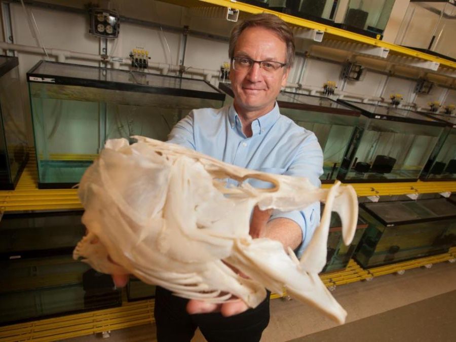 Man holding out a fish skull standing in front of aquaria