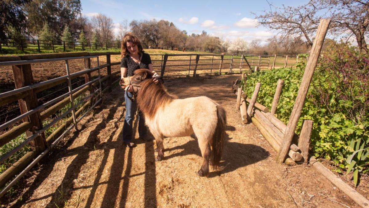 A woman standing outside next to a mini horse