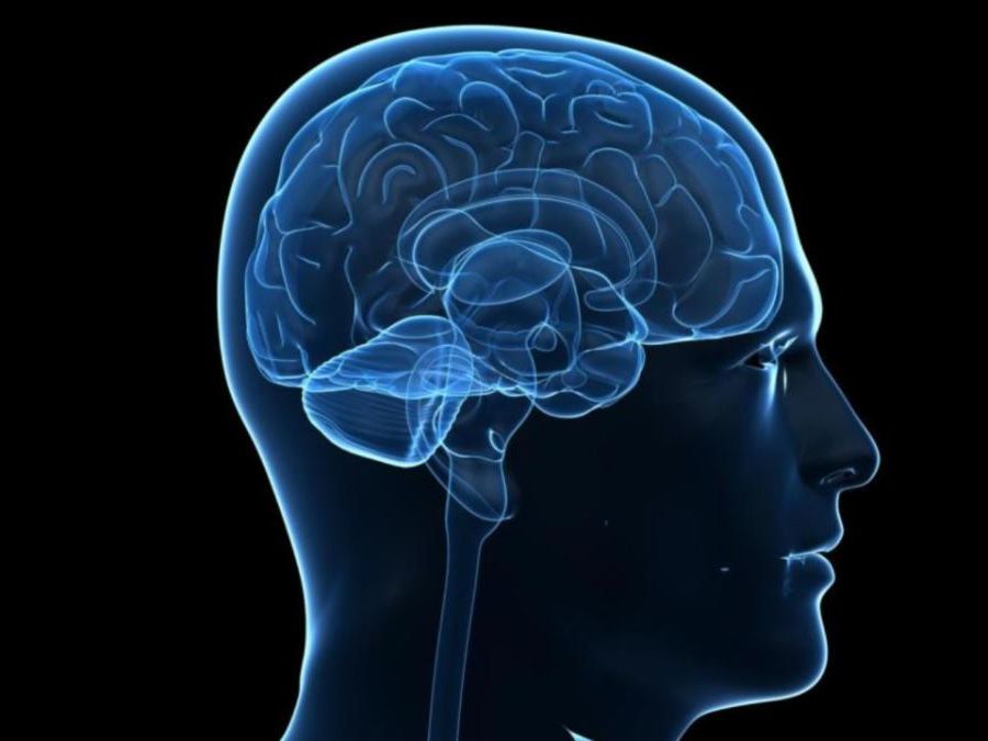 A side-view digital illustration of a human head showing a translucent profile with an anatomically detailed brain highlighted in blue against a black background