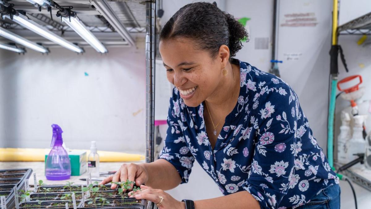 Female researchers with tray of small plants