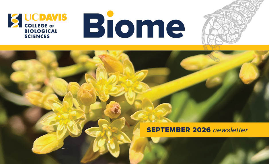 Biome graphic with avocado flower and "September 2026 Newsletter" text