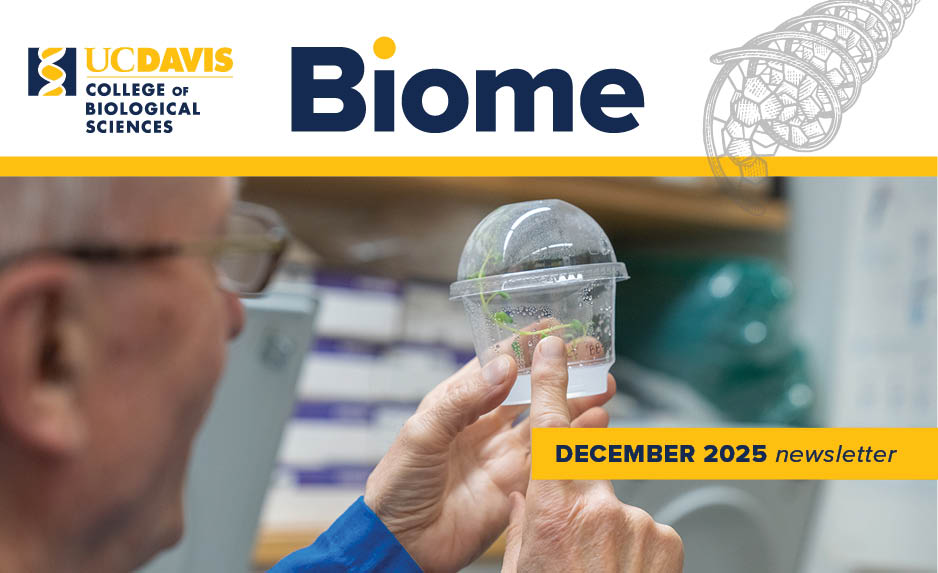 Newsletter cover logo with image of researcher and small plastic container with a plant inside
