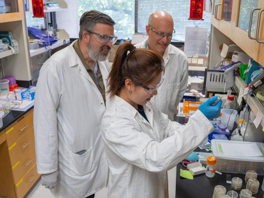 Three researchers in a laboratory setting