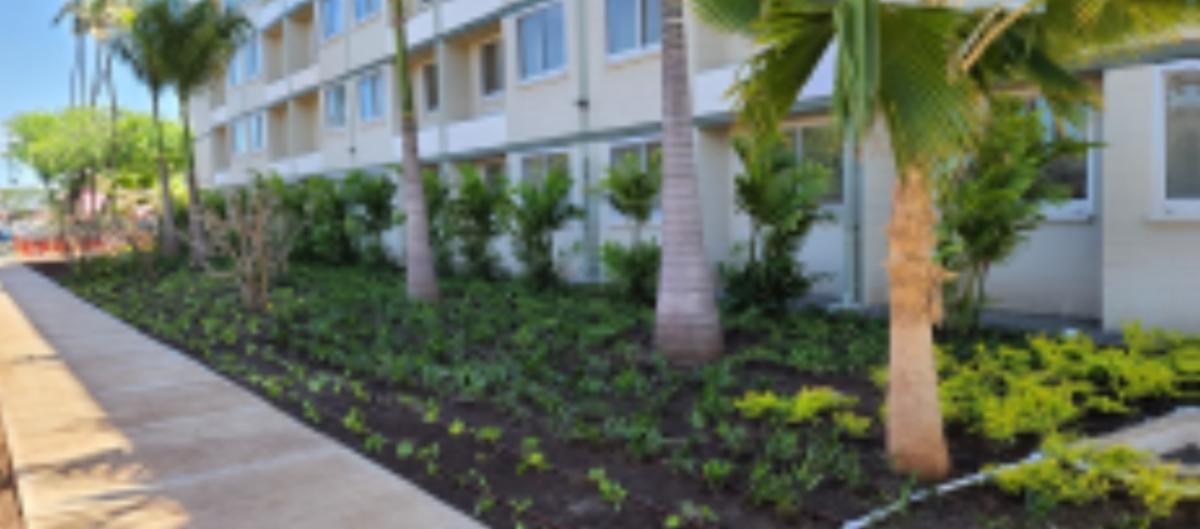 Newsletter Updates from Councilmember Tasha Kama October 2020