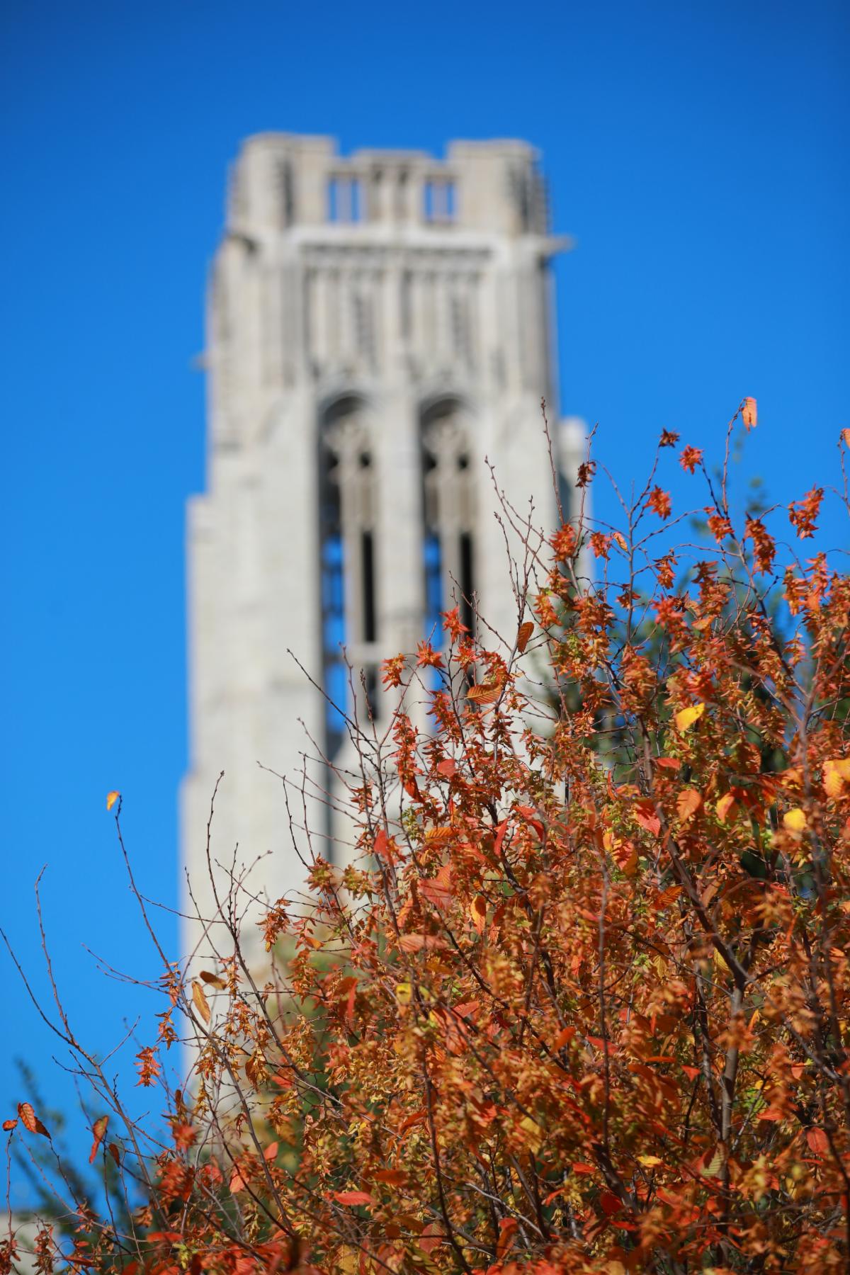 UToledo clock tower in autumn