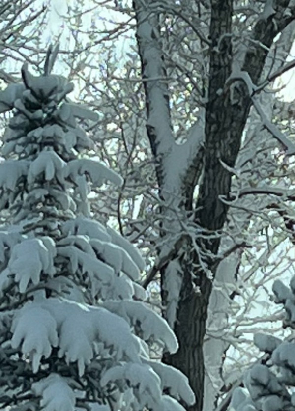 Winter in Aspen