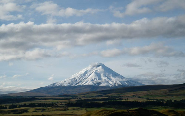Volcanic Soil