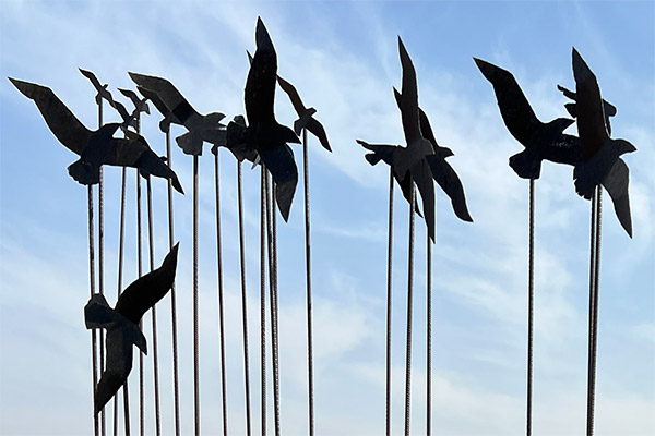 The Flock
