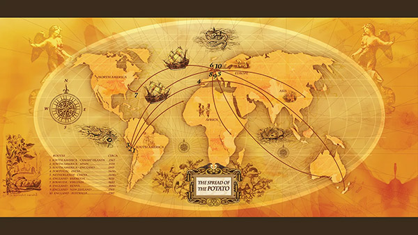 Migration of the Potato