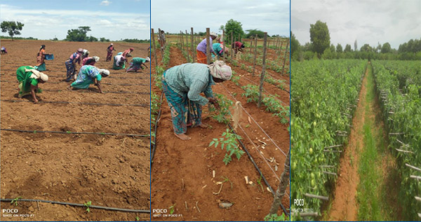 Farm Mission Global