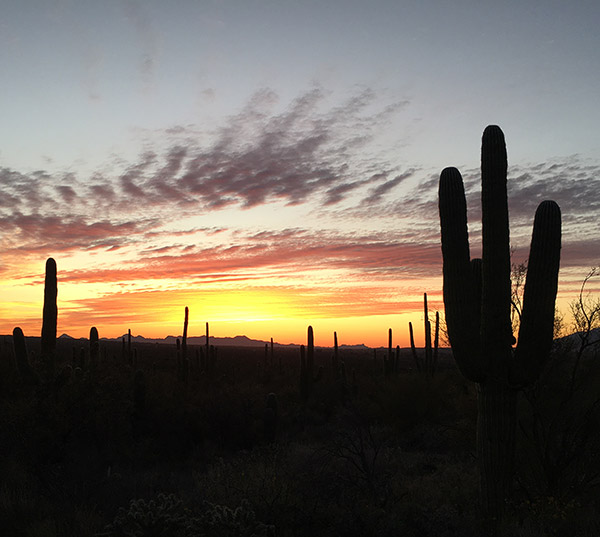 Tucson Sunset