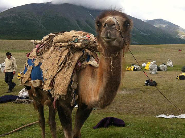 Mongolia
