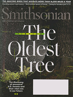 Finding the Oldest Tree