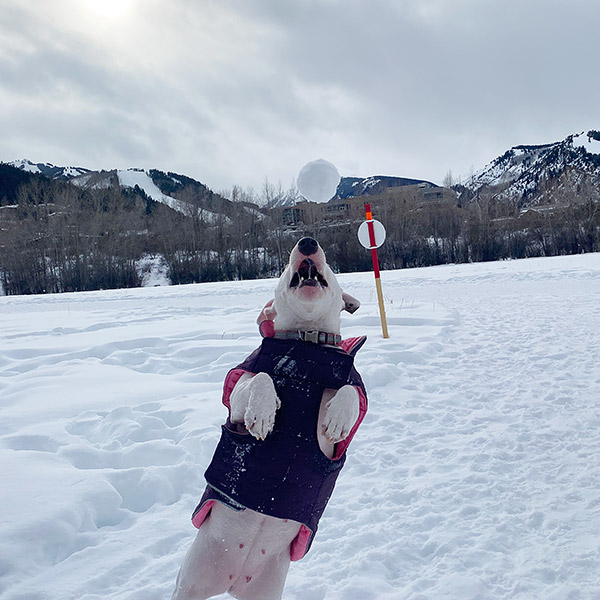 Snowball